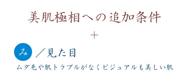 美肌極相は見た目の美しさ