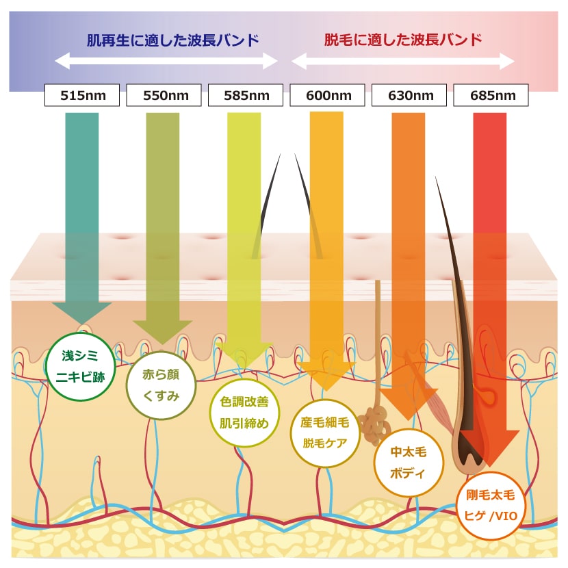 光線美容の波長バンド
