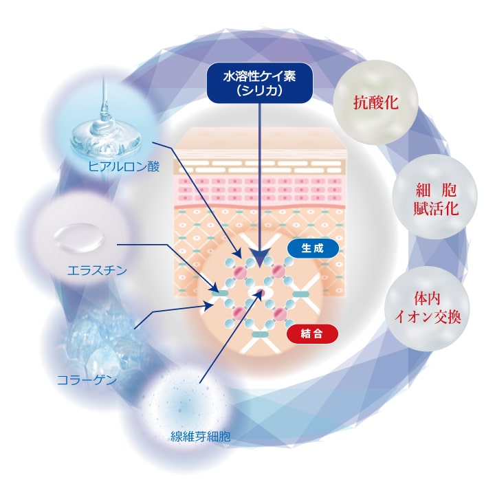 光線美容ジェル構造図