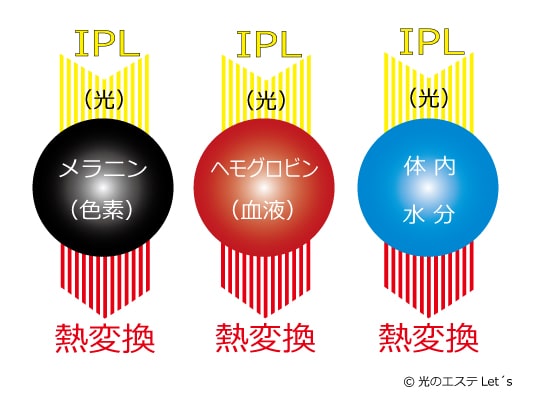 IPL特性