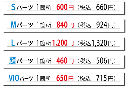 カーボンフェイシャル／料金