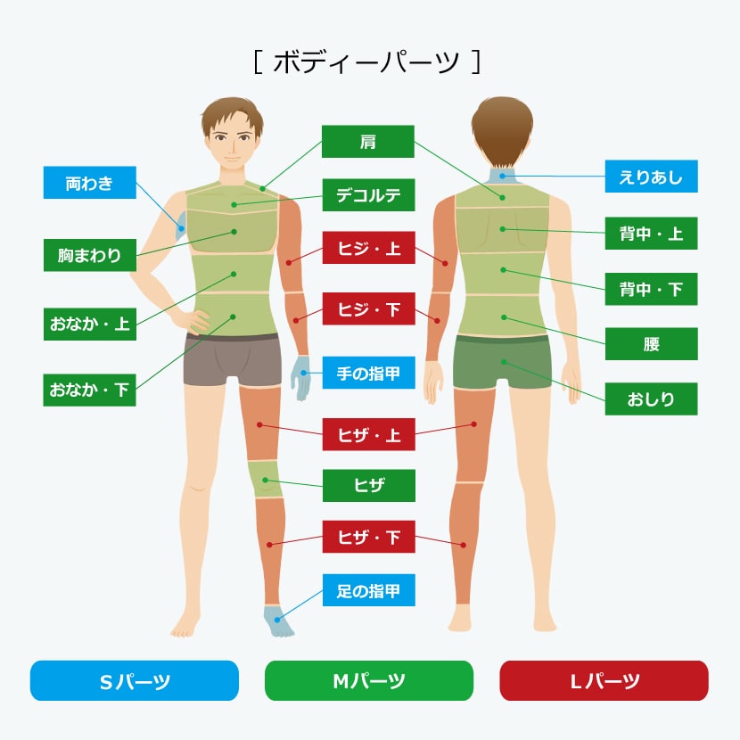 メンズ脱毛ボディーパーツ表