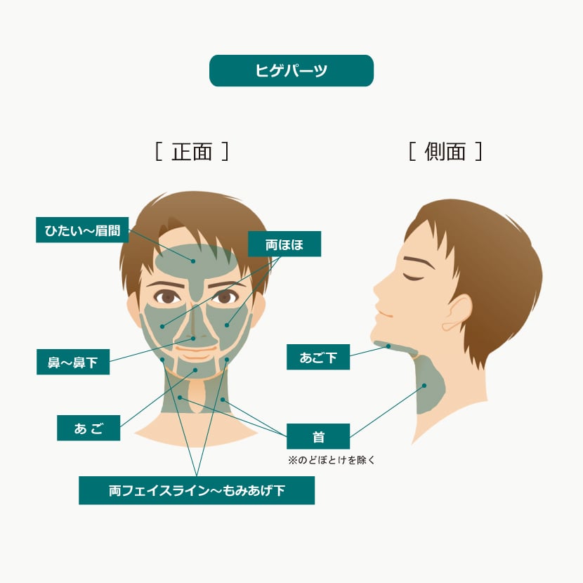 メンズ脱毛ヒゲパーツ表