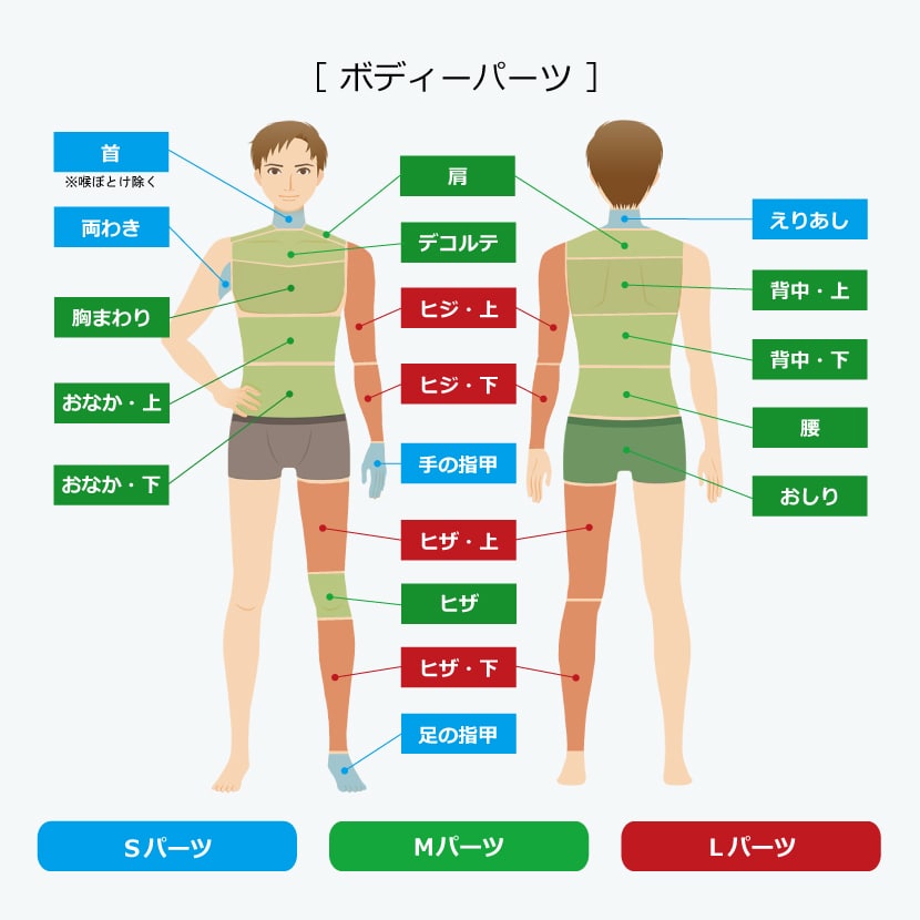 メンズ肌再生ボディーパーツ表