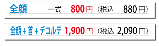 スキン・スクライバー／オプション料金