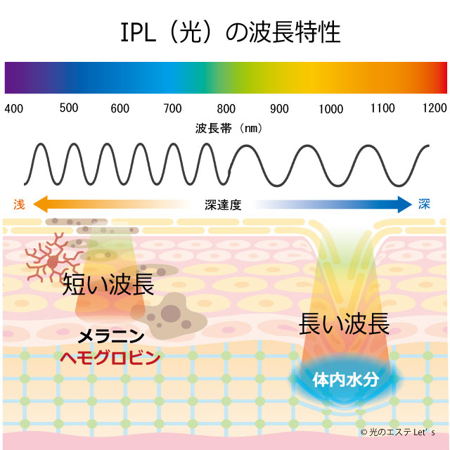 光、波長、スペクトル、深達度、吸収曲線