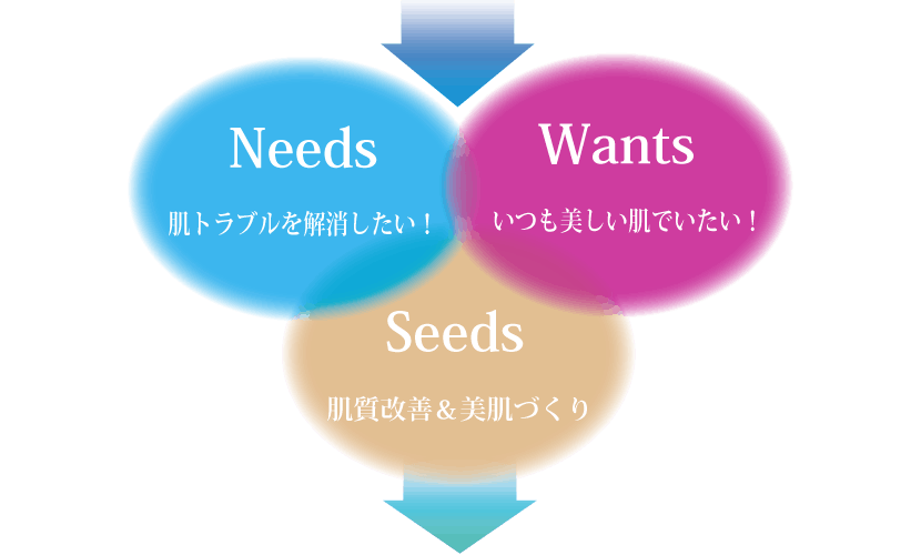 肌,ニーズ,ウオンツ,シーズ